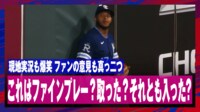 【映像】これはファインプレー？ファンの意見も真っ二つ