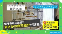 癖のある自己紹介をするインコ