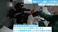 けやきヒルズ - 最新NEWS - 世界初?ゲノム編集で双子女児誕生か 中国研究者が発表 (18/11/27) | 動画視聴は【Abemaビデオ(AbemaTV)】