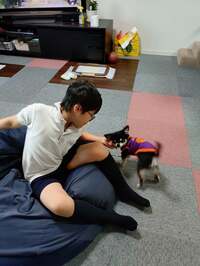 山田花子『また病院に、、、』