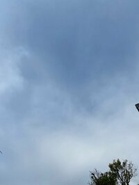 堀ちえみ『はっきり言って自粛疲れであります!』