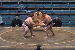 「ここまで動ける191キロは見たことない」軽やかな超巨漢力士に「ギャップがすごい」驚きの声