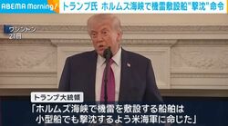 トランプ氏 ホルムズ海峡で機雷敷設船“撃沈”命令