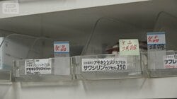 総理の「ホクホク発言」の火消しに走る財務大臣　円安進み薬不足広がるの懸念