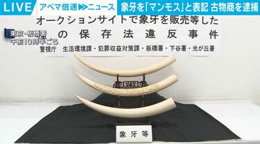 象牙を「マンモス」と表記 古物商を逮捕 | 国内 | ABEMA TIMES