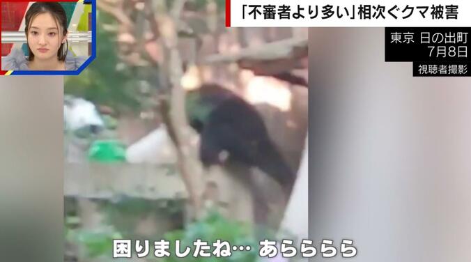 クマが東京の民家をよじ登る様子（東京・日の出市）