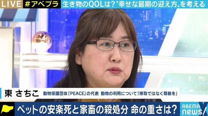 ウサギの安楽死をめぐり批判の声も…動物園のあり方、あなたはどう考える? 3枚目