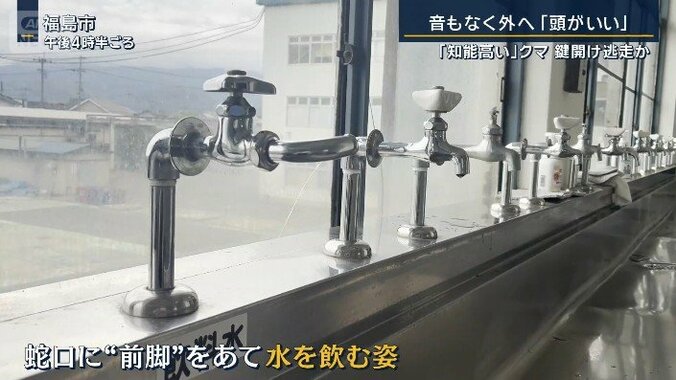 蛇口