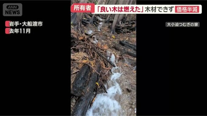 雨水が川のように