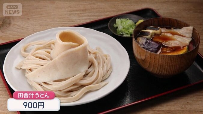 田舎汁うどん