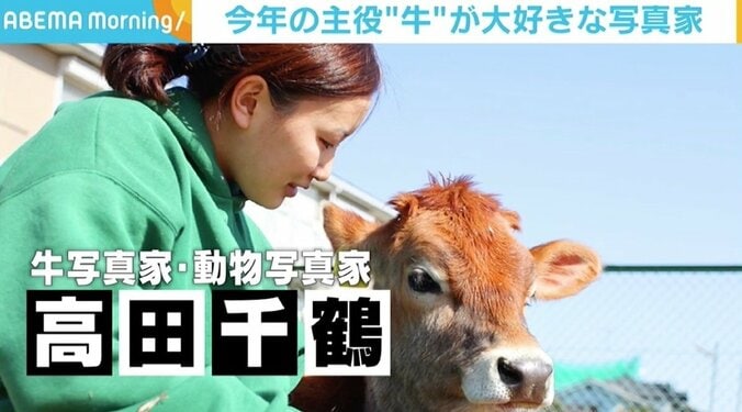 「癒しをくれる動物。今年は注目されるといいな」 写真家・高田千鶴が“牛”にこだわる理由 1枚目