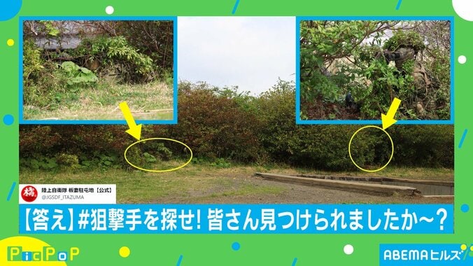 「全然わからない…」草むらに隠れた“自衛隊員”を探せ！ 激ムズ投稿に反響 2枚目