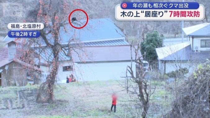 クマは建物の2階以上の高さに