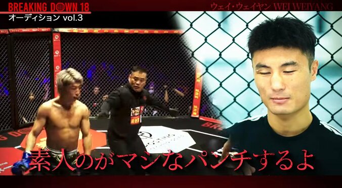 路上のライオンことウェイ・ウェイヤン