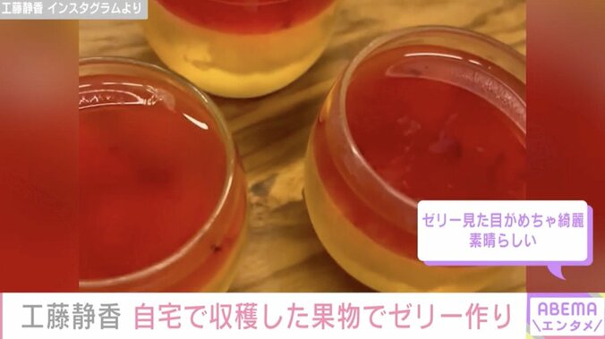 【写真・画像】工藤静香（55）“豪邸”と話題の自宅庭で収穫した果物で彩り鮮やかなゼリー作り「お庭に果物が育っているってステキ」　2枚目