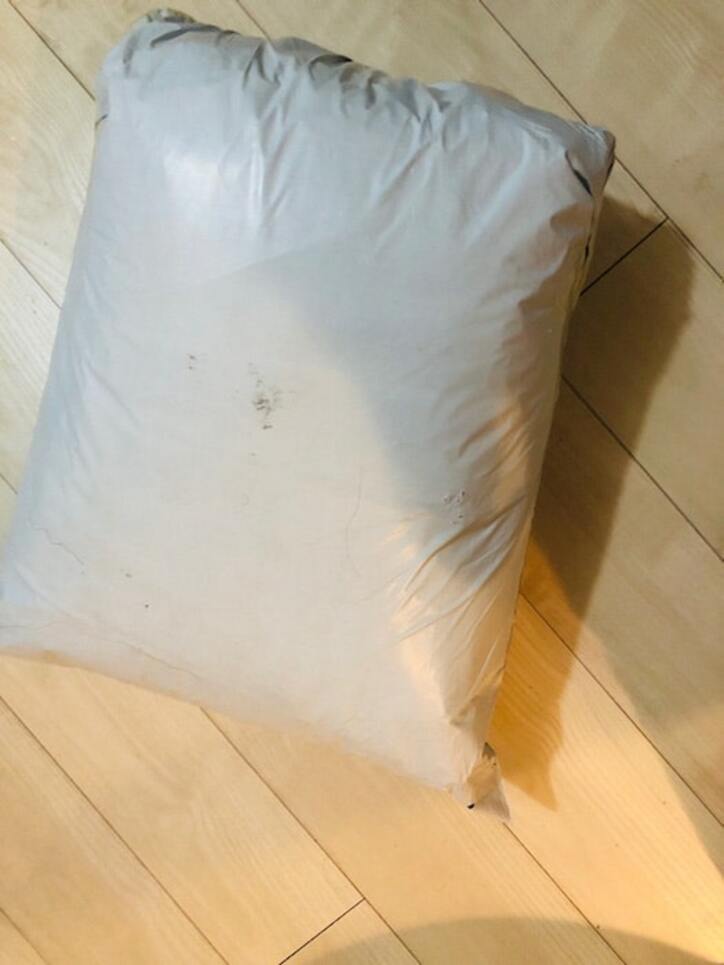  平野ノラ、通販で購入した64個の商品「ピアスだけで20個購入しました！」 