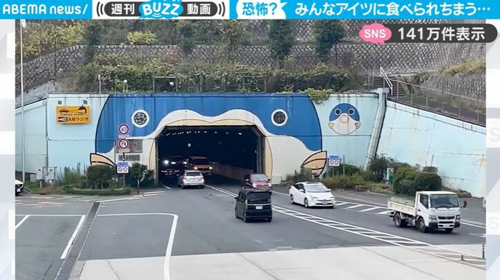 【写真・画像】ラッコが胸の上で“トントン”する動きが衝撃的な速さ！残像が見えるほどの高速ぶりに「シュシュシュ！！と聞こえる」　1枚目