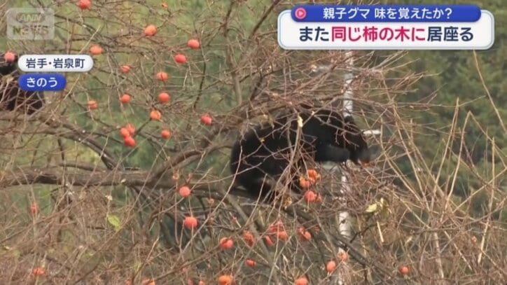 岩手県岩泉町の住宅近く