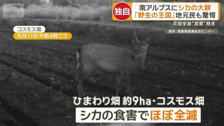 郡山布引風の高原