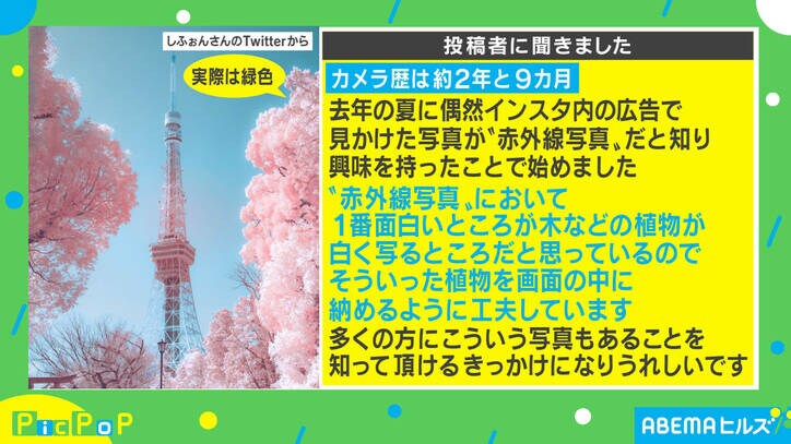 “赤外線写真”で撮った東京タワーに反響続々「桜の木かと思った」 投稿主を取材