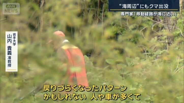 岩手大学　山内貴義准教授