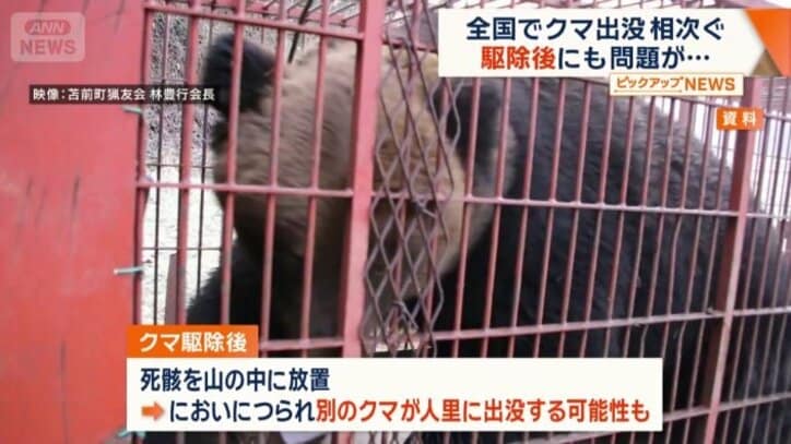 ハンターは2～3時間かけ解体作業を行い廃棄する