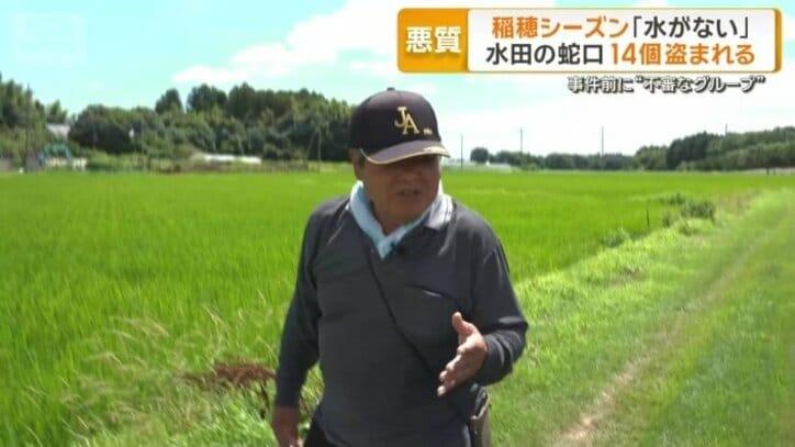 被害に遭った農家　村澤昭夫さん（76）