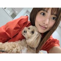 夏菜の愛犬を抱いたキュートなオフショットに「満面の笑顔美人」「素敵お綺麗」と反響
