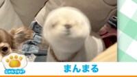 【映像】心霊写真…？偶然撮れた奇跡の1枚（拡大）