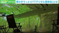 【映像】穏やかな川を進む、カヌーから見える沖縄のマングローブ林