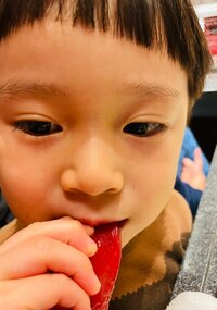 ココリコ遠藤嫁『次男君、デビュー』