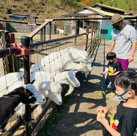 ココリコ遠藤嫁『子連れに最適』