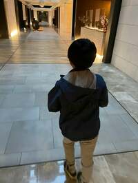 市川團十郎白猿『暗くなる前に』