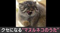 【映像】“中毒性”が強すぎるテーマソング