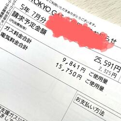  料理研究家・桜井奈々、恐る恐る確認した電気代を公開「本番は来月の請求書」 