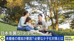 「低収入はそもそも婚活市場に参戦できない」未婚者なぜ増加？ 高学歴女性→結婚しないは間違い？ 少子化の根本原因は