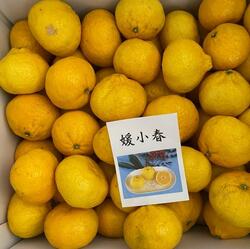  かとうかず子、絶賛された差し入れを公開「もう品薄なんだそうです」 