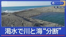 渇水で川と海が分断　“日本一美味しいアユ”危機