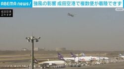 強風の影響 成田空港で複数便が着陸できず