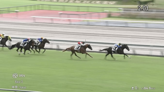【映像】2.6億ホース、“着差以上楽勝”のデビュー戦（実際の様子）