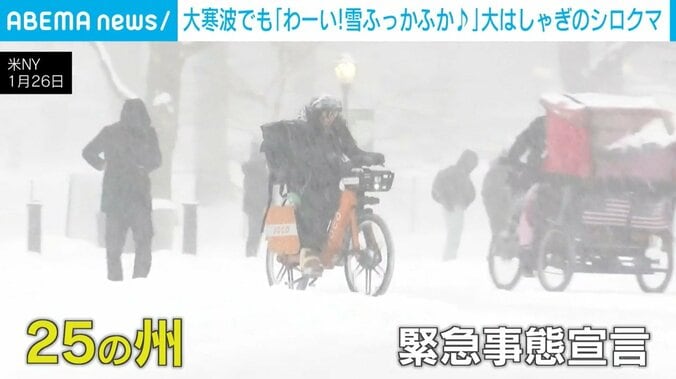 モンスター級の寒波となっているNY