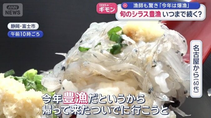 「今年豊漁だというから」