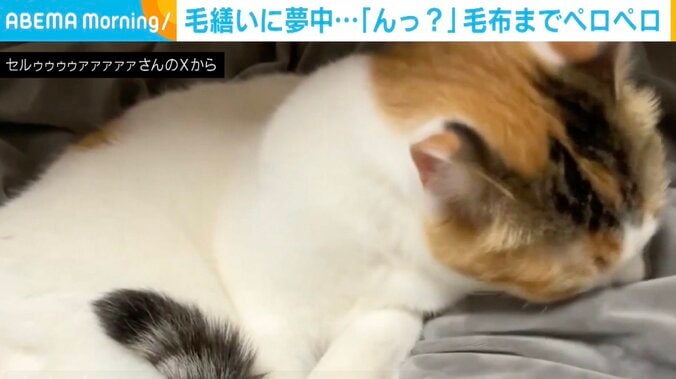 セルジオ悦子ちゃん