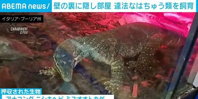 イタリア・プーリア州