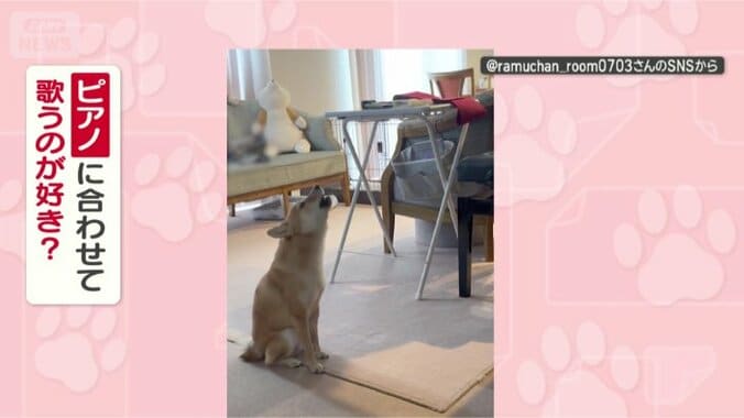 なぜ熱唱するの？