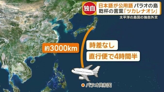 日本から南へ約3000キロのパラオ共和国