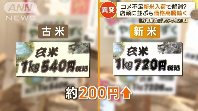 店頭に並ぶもコメの価格高騰続く