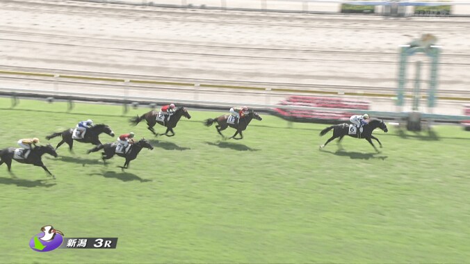 【映像】「末脚キレキレ」デビュー戦で“楽々先頭→上がり最速V”の離れ業
