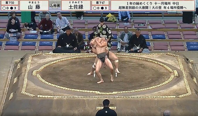 たすき反りのような動きを見せた山藤