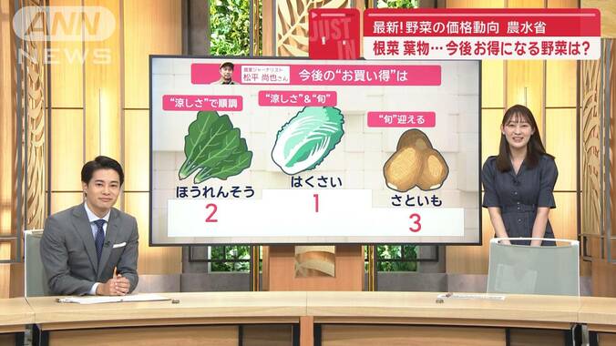 最新！野菜の価格動向発表　「レタス」「キャベツ」が高い…　今後お得になる野菜は？ 1枚目